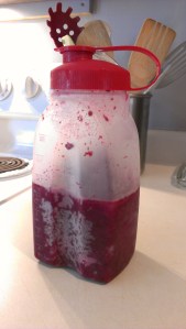 Berry & Fruit Smoothie