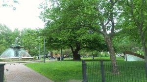 PVD park